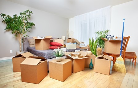 Same day packers and movers