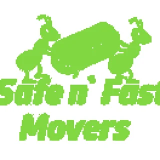 Safe N Fast Movers