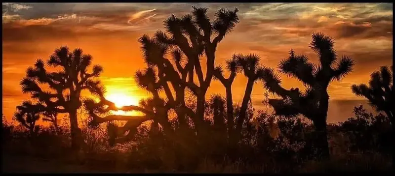 Piñon Hills, California