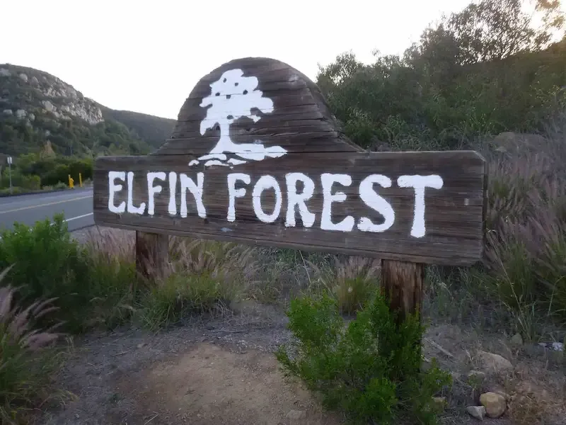 Elfin Forest, California