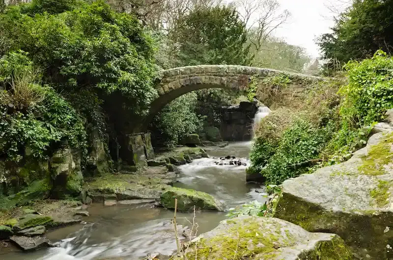Jesmond Dene, California
