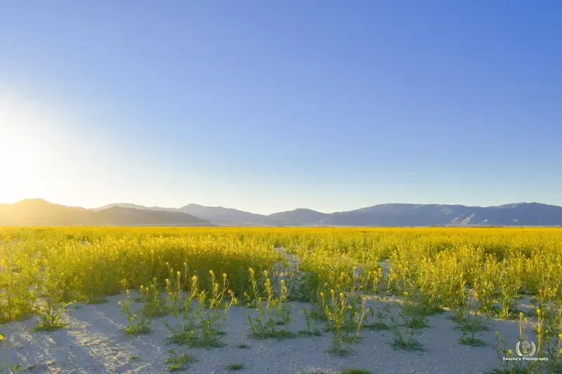 Lucerne Valley, California