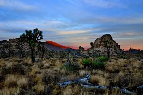 Yucca Valley, California